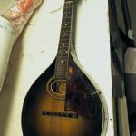 249 5028 Mandolin